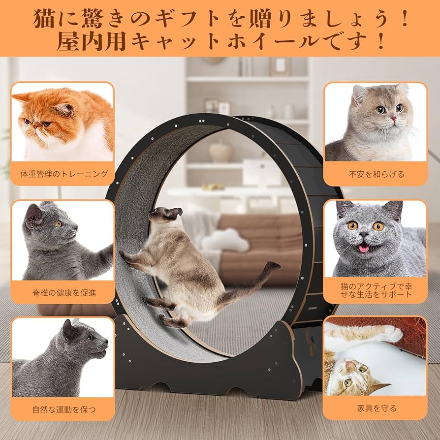 Amazon.co.jp: Naviconvex キャットホイール 猫の車輪 XL 直径113