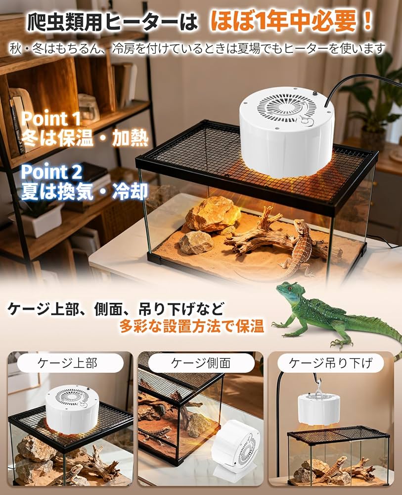 Amazon | 【小型動物専用・2025年冬革新】TENKOO&YOU 爬虫類 ヒーター