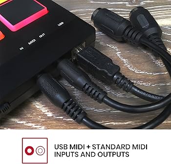 Amazon.com: Akai Professional MPX8 - Portable Sample Pad