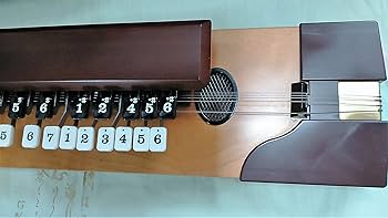 Amazon | SUZUKI 紅葉/もみじ 電気大正琴 | 大正琴 | 楽器・音響機器