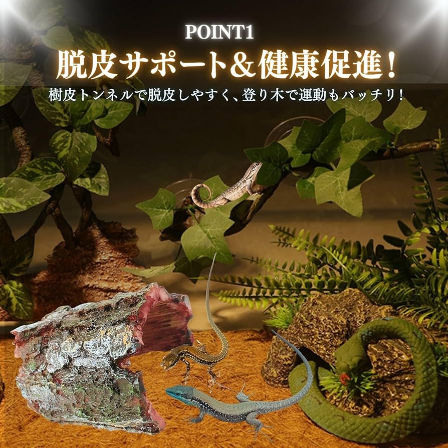 流木 自立 アク抜済み爬虫類 シェルター 登り木 上り木 テラリウム 苔
