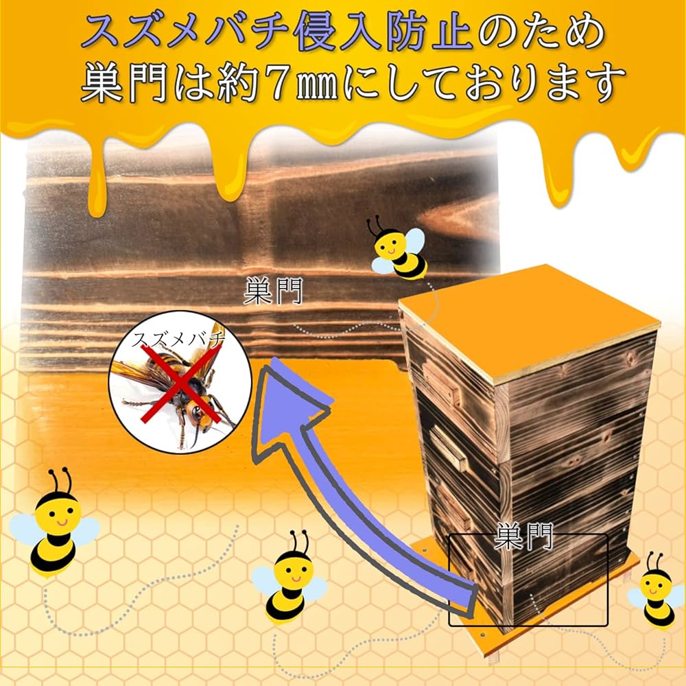 熟練大工作製、柾目板使用で重箱の節抜けの心配なし、日本蜜蜂5段重箱