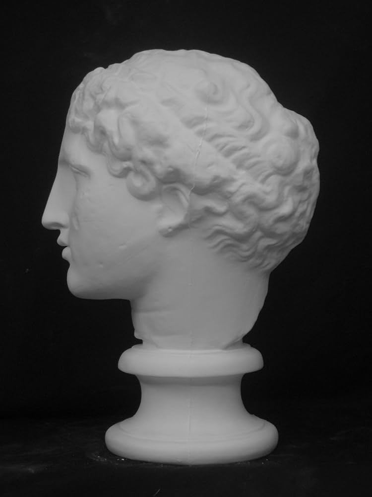 ラボルト 石膏像 首像 デッサン パルテノン首像 ラボルト 石膏像 首像