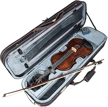 Amazon | STENTOR バイオリン アウトフィット 適応身長145cm以上 湿度