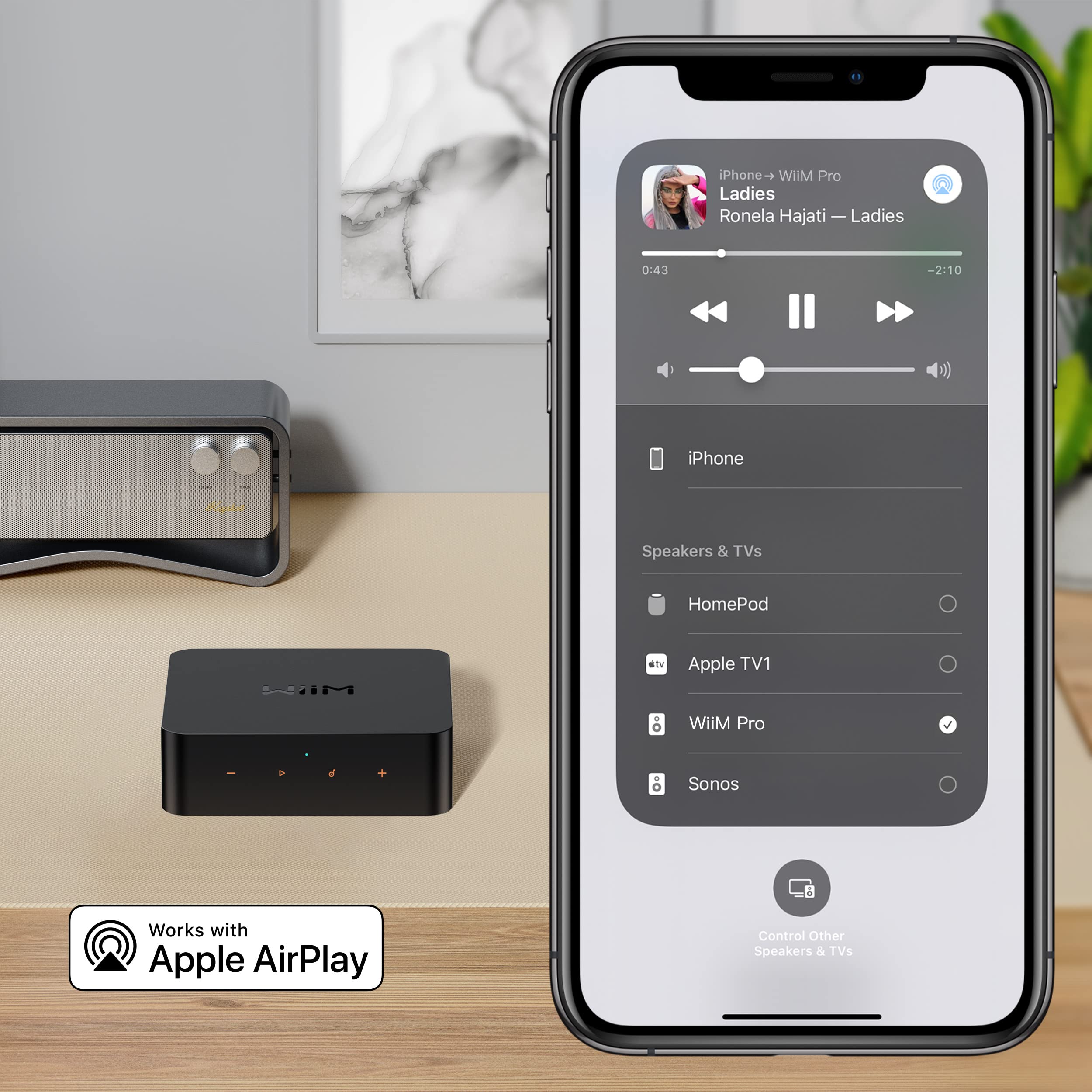 Amazon.com: WiiM Pro AirPlay 2 Receiver, Google Cast Audio, WiFi