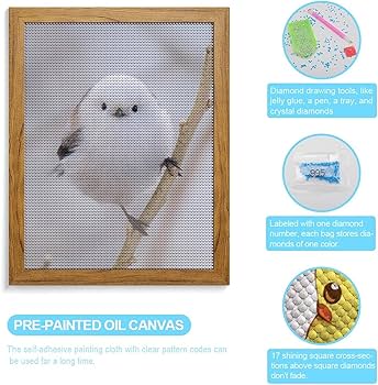 Amazon | シマエナガ 鳥柄 ダイヤモンドアート 5D ビーズアート ビーズ