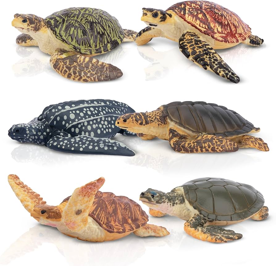 Amazon.co.jp: TOYMANY 動物フィギュア 6PCSカメフィギュア 海洋動物