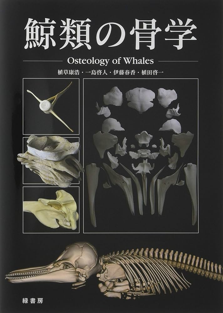 鯨類の骨学 Osteology of Whales | 植草康浩, 一島啓人, 伊藤春香