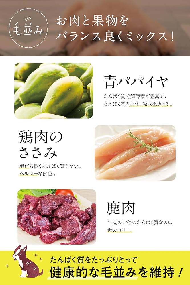 このこのご飯2袋分 【公式通販】