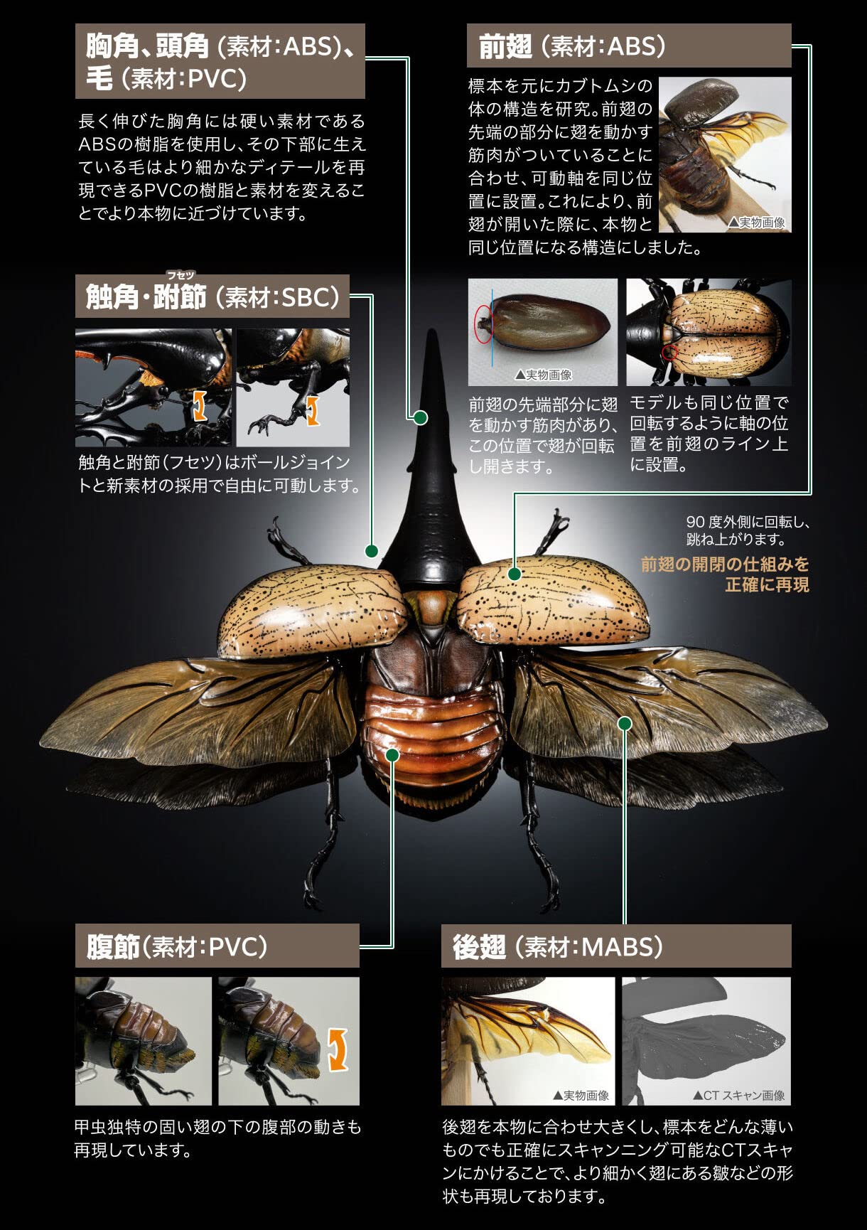 Amazon | いきもの大図鑑プレミアム ヘラクレスオオカブト（ヘラクレス