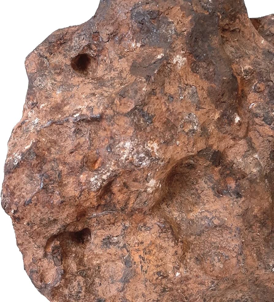 Amazon | SCIENCE 隕鉄(鉄隕石)IRON METEORITE「アグダル隕石（鉄隕石