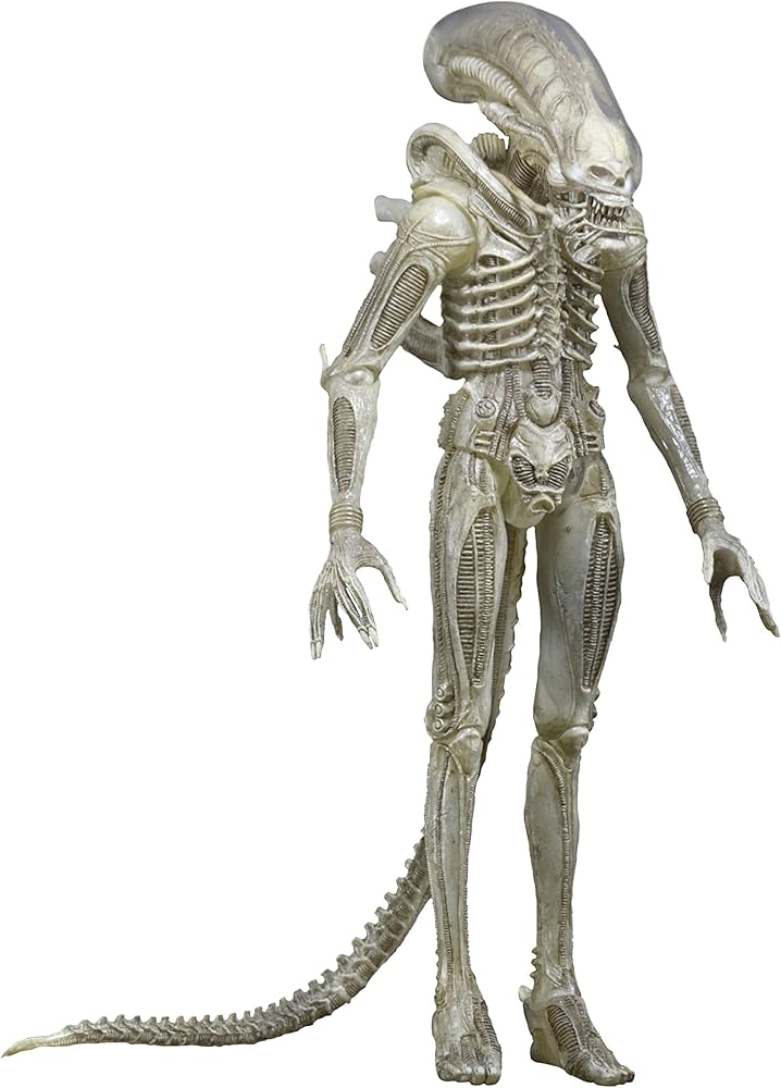 Amazon.com: NECA Aliens Series 7 Concept 79' Action Figure (7