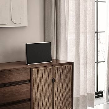 Amazon.com: Bang & Olufsen Beosound Level Portable Wi-Fi Multiroom