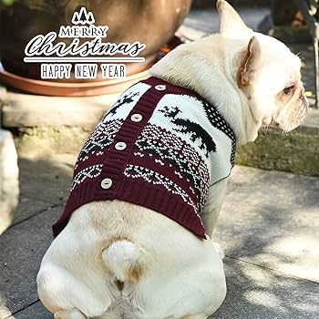 Amazon | UETZLTB 犬 クリスマス セーター 暖かい 秋冬 Vネック ニット