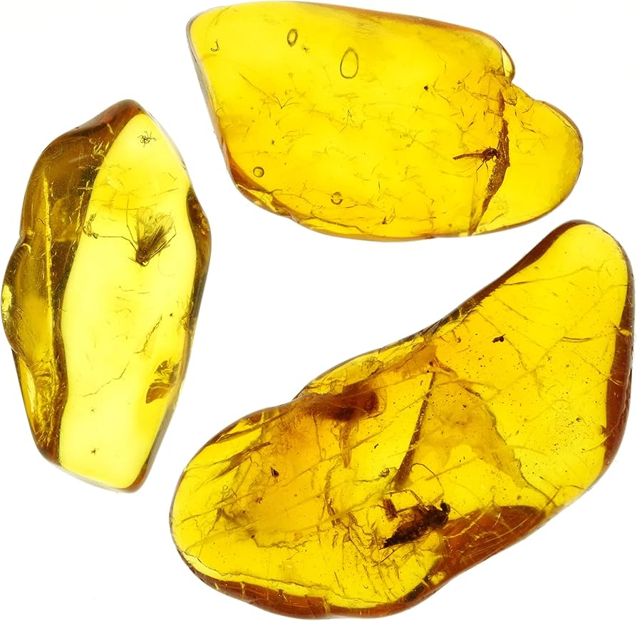 Amazon | [N2 stone Natural] 天然化石 虫入り琥珀 (アンバー/Baltic