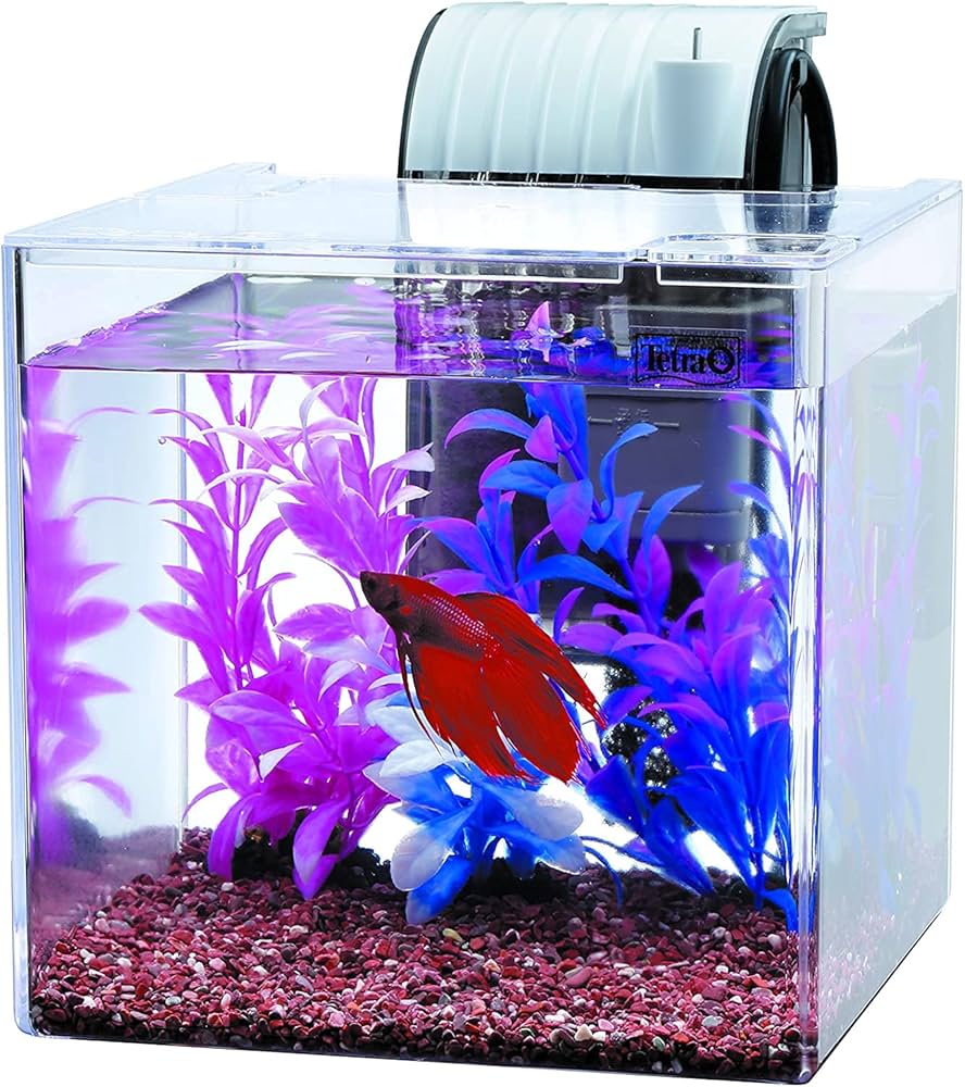 suma 9個セット ベタ飼育