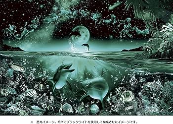 81fmCHYH3TL._AC_UF350,