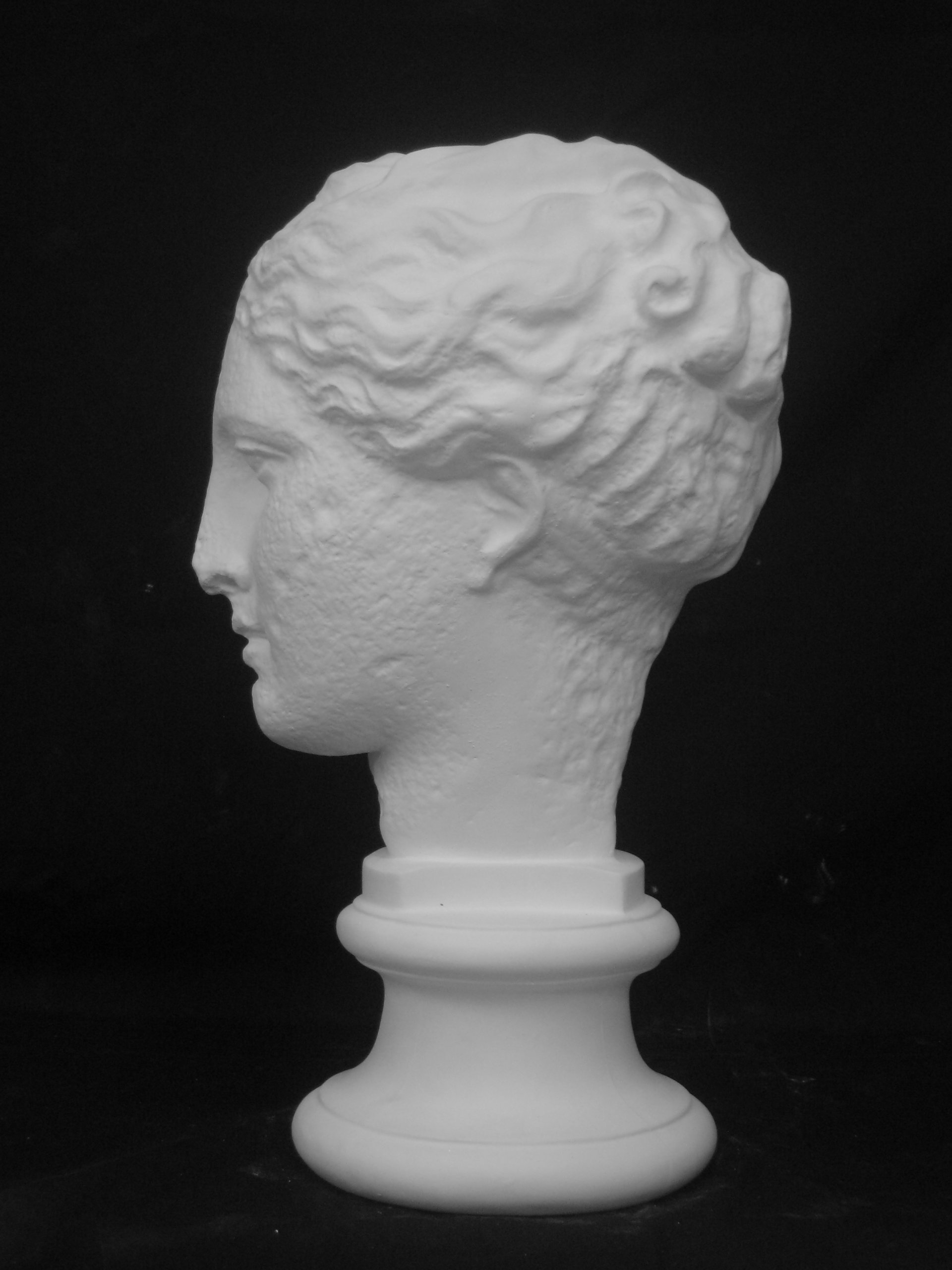 Amazon.co.jp: 石膏像 S－205 古代ヴィーナス首像（アバタの