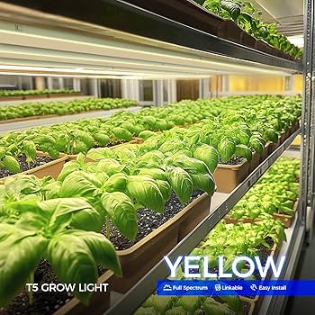 Amazon.com : Barrina T5 Grow Lights for Indoor Plants, Full