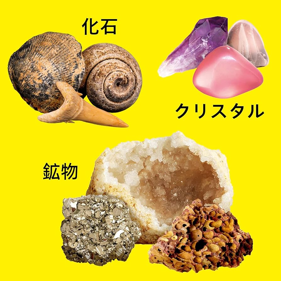 Amazon | XXTOYS 鉱石標本 宝石おもちゃ 化石 天然鉱石 ジオード 天然