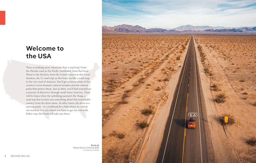 81h0gcyNuCL._AC_UF1000,