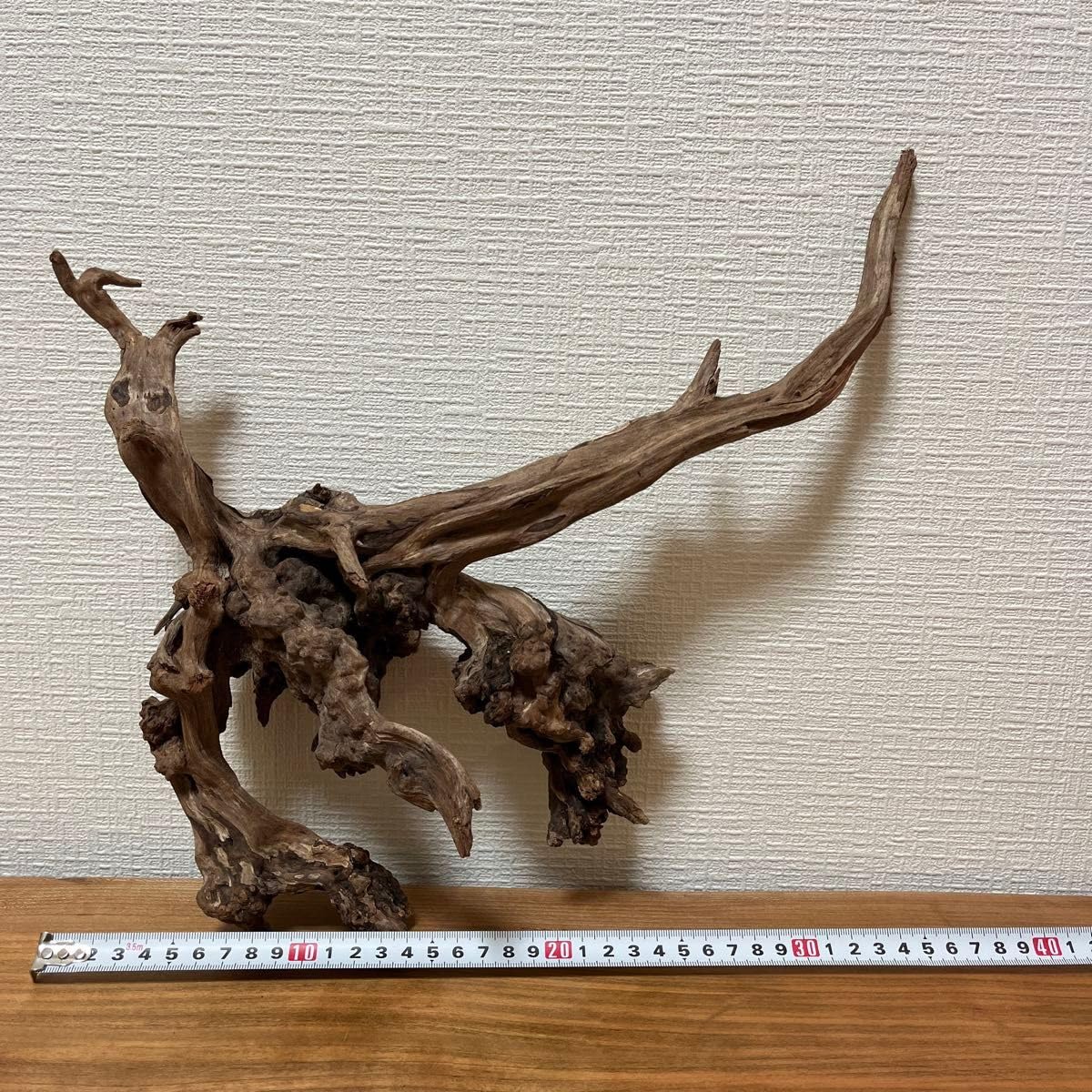 ADA ホーンウッド ada ホーンウッド 【公式通販】