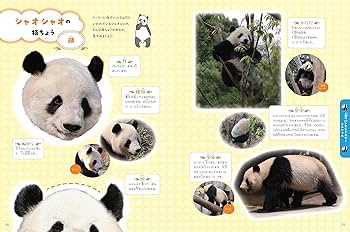 81hr5zDwRrL._AC_UF350,