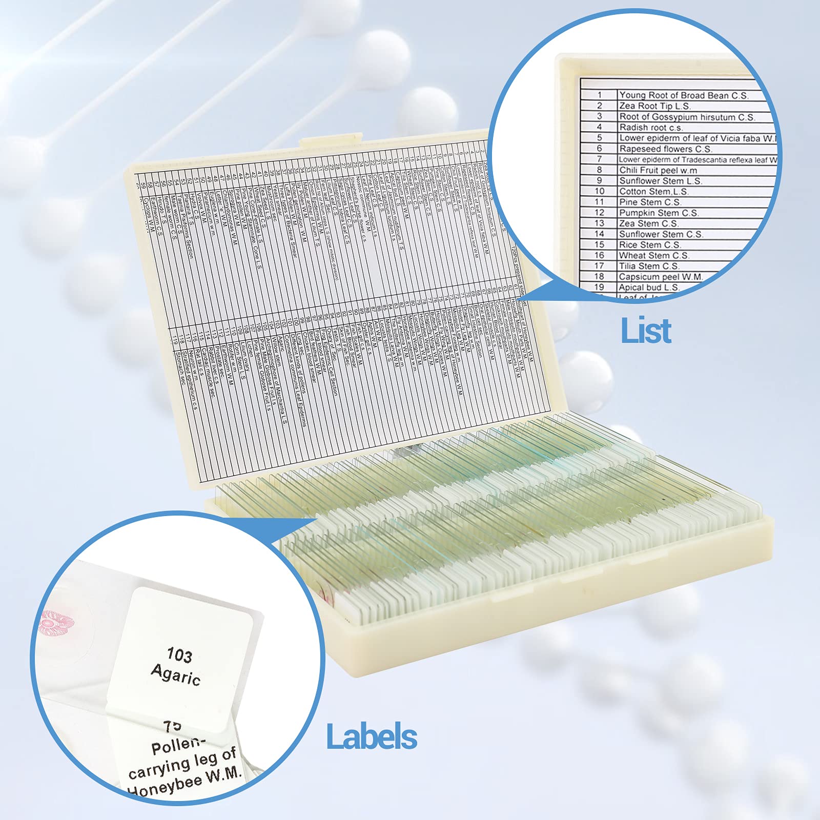 Amazon.co.jp: プレパラート120枚 顕微鏡観察用 植物 菌 動物 人体組織