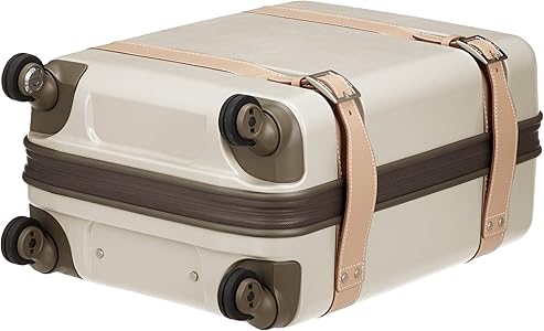 プロテカ ジーニオセンチュリーソフト グレージュ 機内持ち込み 28L