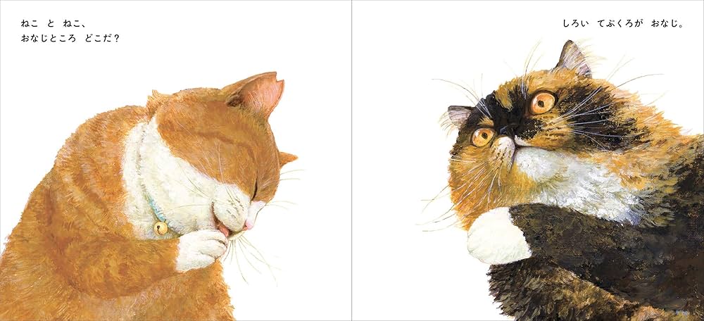 Amazon.co.jp: ねことねこ : 町田尚子, 町田尚子: 本