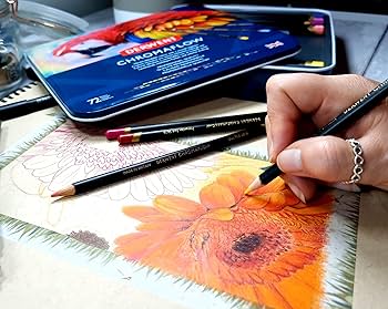 Amazon | 【国内正規品】Derwent ダーウェント 油性色鉛筆 クロマ