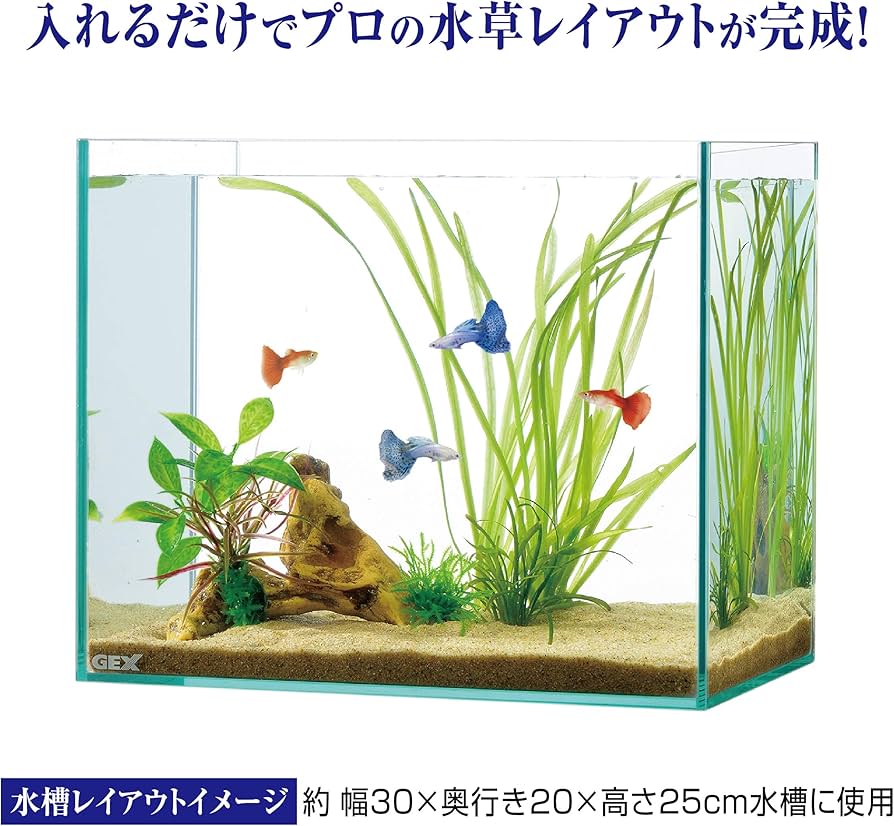 Amazon | GEX ジェックス 癒し水景 水草付き流木 ニードル 水槽用