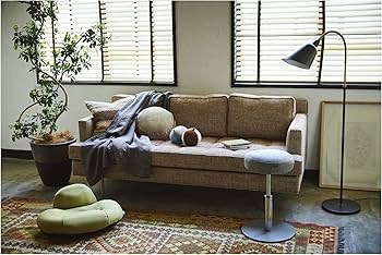 Amazon.co.jp: MIZUNO(ミズノ) 健康器具 ル・クール サイドテーブル 天