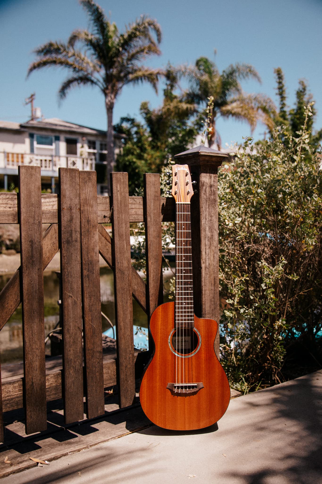 Amazon | Cordoba (コルドバギター) ミニ エレガット ギター PU付 全長