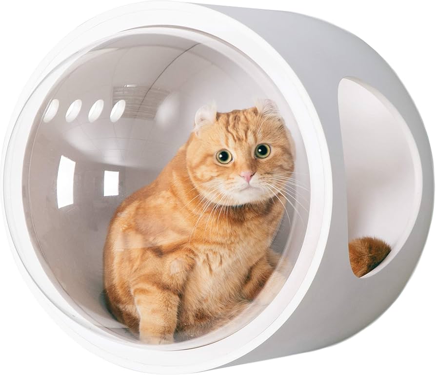 Amazon | MYZOO 宇宙船 猫ハウス ペット用ベッド ドーム状 壁付け対応