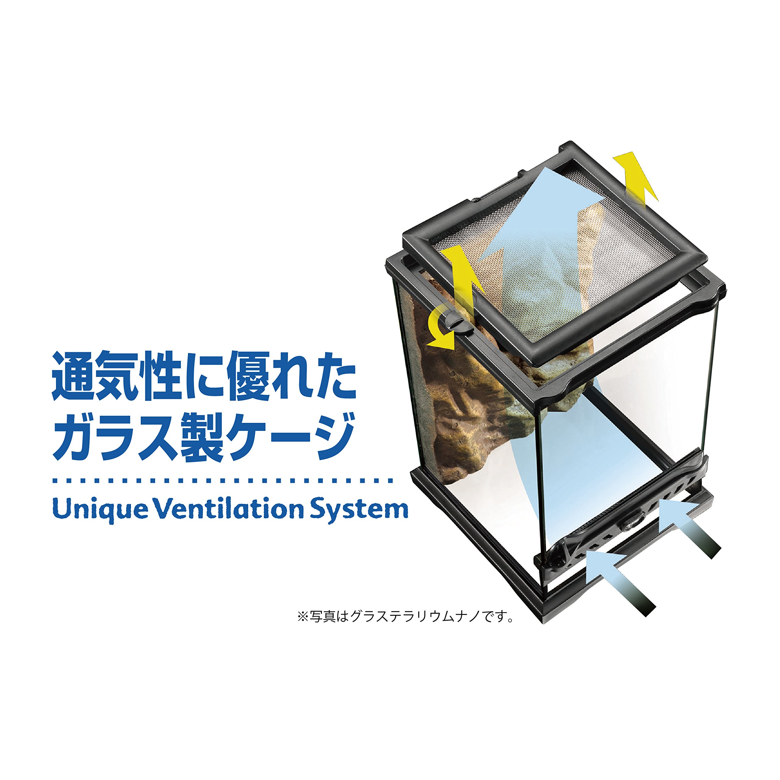 りおちゃん専用エキゾテラ6045 グラステラリウム6045 エキゾテラ GEX