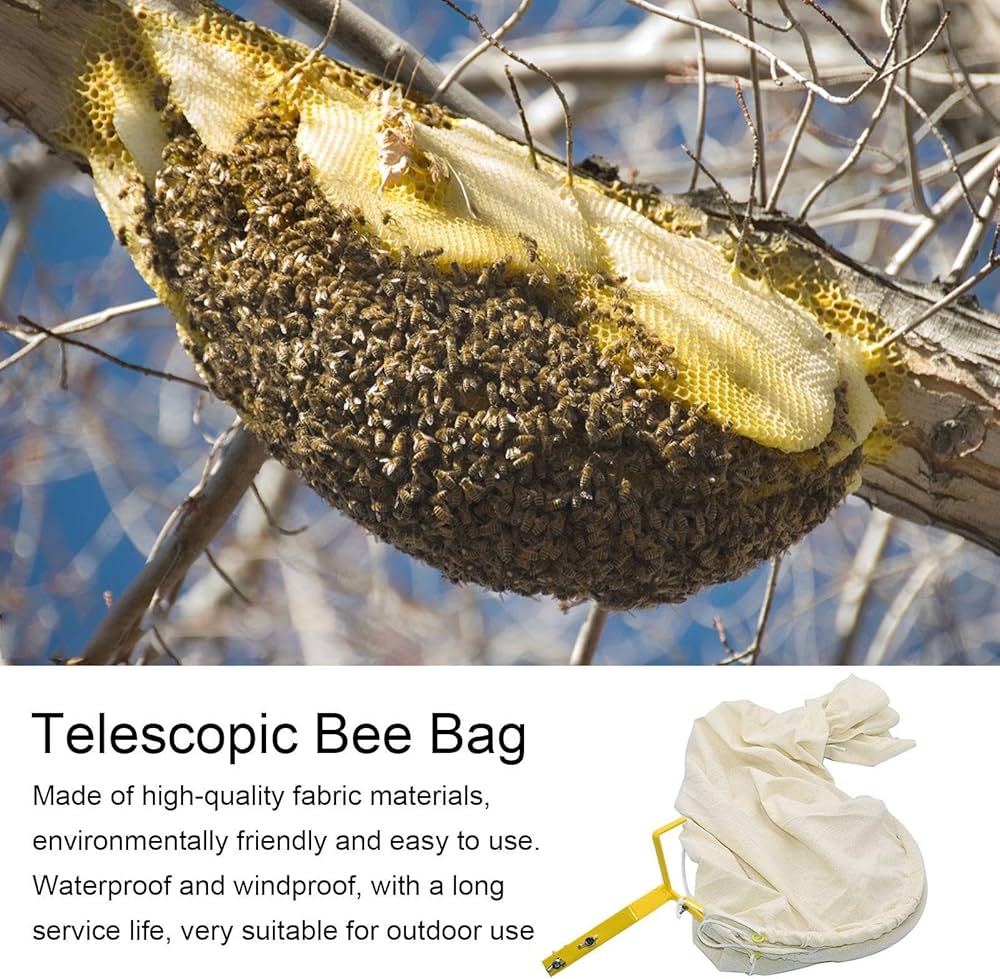 蜂の巣、現状出品 アウトレット 蜂の巣、現状出品 Amazon.co.jp: 4 個