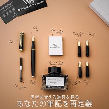 Amazon | 万年筆 ギフトセット インクボトル付き インクカートリッジ6