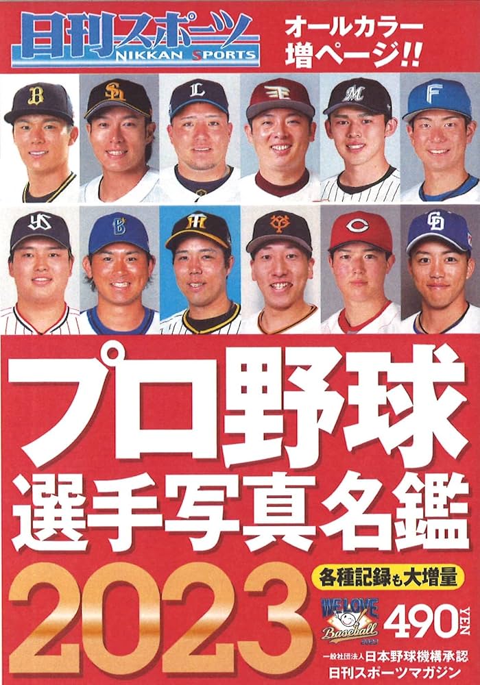 2010〜2013年までのプロ野球選手ガイドブック 81RSCEQxSWL._UF350