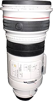 Amazon.com : Canon EF 300mm f/2.8L IS USM Telephoto Lens for Canon