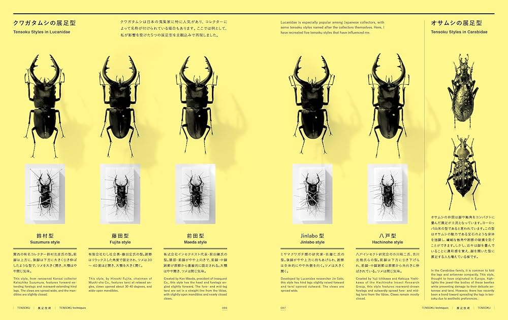 Amazon.co.jp: 昆虫展足の世界 : 福井 敬貴, 小林 一秀: 本