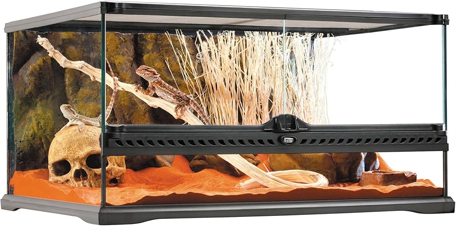 Amazon | エキゾテラ GEX EXOTERRA グラステラリウム6030 PT2604