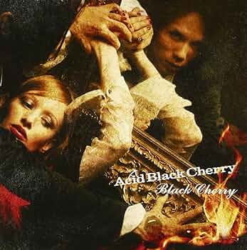 Acid Black Cherry グッズセット Amazon.co.jp: ACID BLACK CHERRY