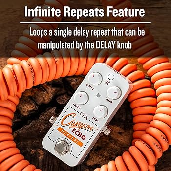 Amazon | ELECTRO-HARMONIX エレクトロハーモニクス PICO CANYON ECHO