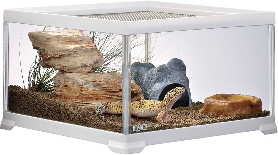 Amazon | GEX EXOTERRA レプテリア レオパ飼育キットM 爬虫類用ガラス