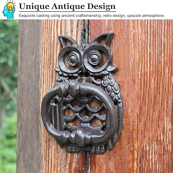 81okPWx5rDL._AC_UF350,