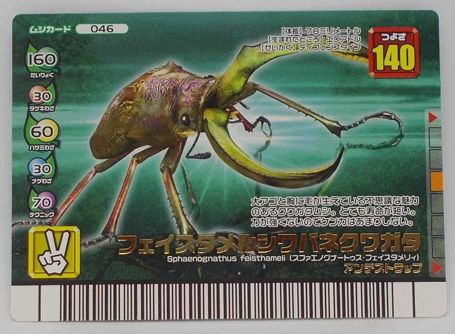 甲虫王者ムシキング フォレストグリーン 72枚セット 【公式通販】
