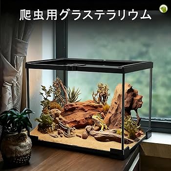 Amazon | 爬虫類 ケージ レプタイルボックス 20x20x30cm グラス