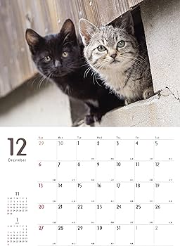 まちかどの猫カレンダー 2026（壁掛け） ([カレンダー]) | 阪 靖之 |本