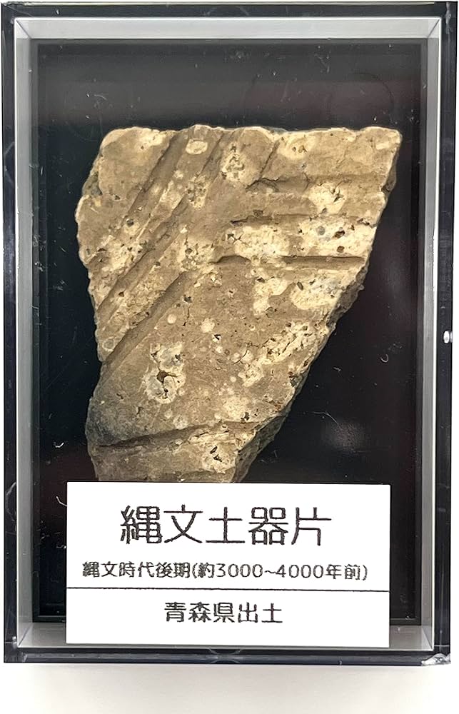 Amazon.co.jp: つくしサイエンス 縄文土器 破片 本物 青森産 歴史資料